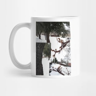 Photo mash up of the day it snowed. February 2022 Mug